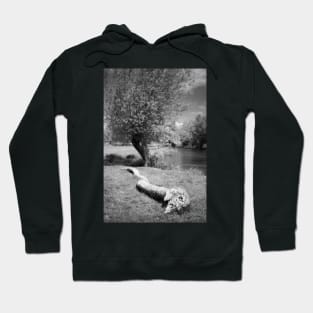 Willows Hoodie